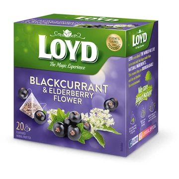 Loyd Piramis Bodza-feketeribizli B