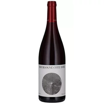 Louis Jadot Bourgogne Cote d'Or 2020 0,75l