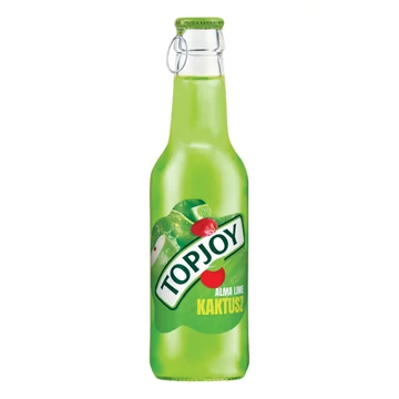 Top Joy 0,25l ü.Kaktusz-lime DRS