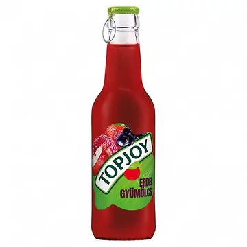 Top Joy 0,25l ü.Erdei gyümölcs 25% DRS