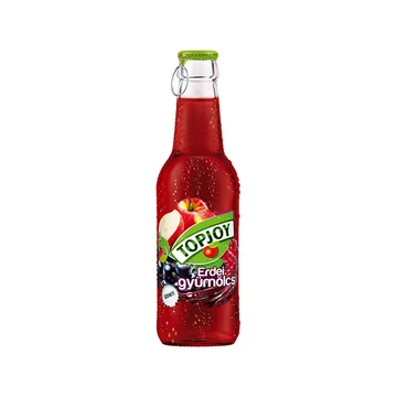 Top Joy 0,25l Erdei gyümölcs 25%
