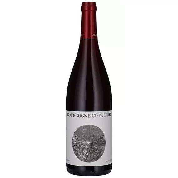 Louis Jadot Bourgogne Cote d'Or 2020 0,75l