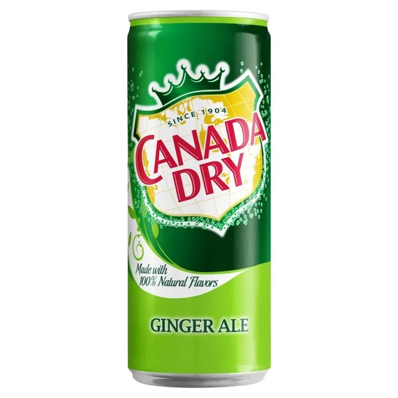 0,33L CAN Canada Dry Sleek 1/24