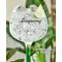 Tanqueray Rangpur Distilled Gin