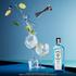 Bombay Sapphire Gin | Premium London Dry Gin 1