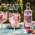 Gordon's Premium Pink Destilled Gin